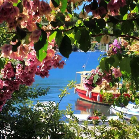 By The Sea Zrnovska Banja, - 194 * Κόρτσουλα