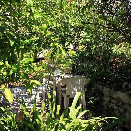 By The Sea Zrnovska Banja, - 194 * 코츌라