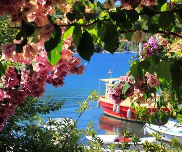 By The Sea Zrnovska Banja, - 194 * Korčula