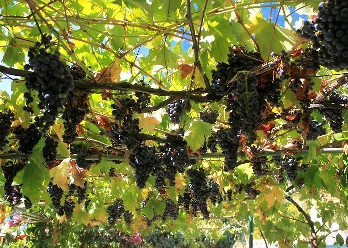 By The Sea Zrnovska Banja, - 194 Appartamento